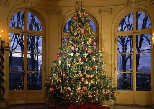 क्रिसमस पेड़ का सपना क्या है?
